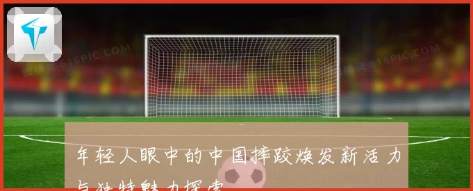 年轻人眼中的中国摔跤焕发新活力与独特魅力探索