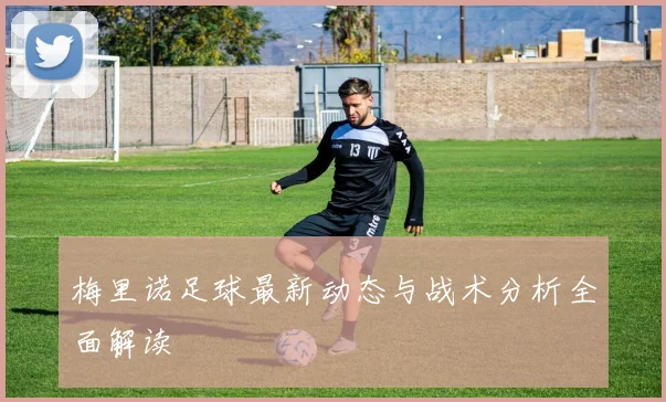 梅里诺足球最新动态与战术分析全面解读