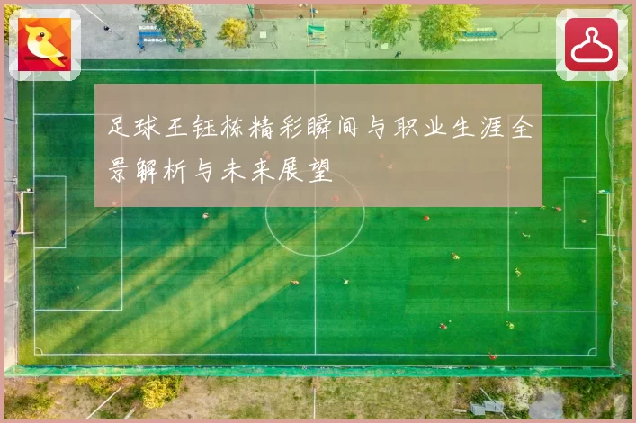 足球王钰栋精彩瞬间与职业生涯全景解析与未来展望