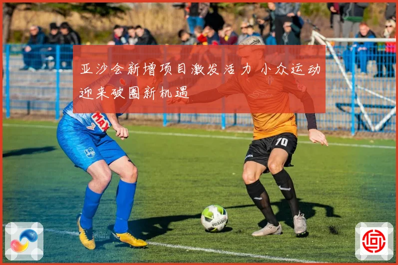 亚沙会新增项目激发活力 小众运动迎来破圈新机遇
