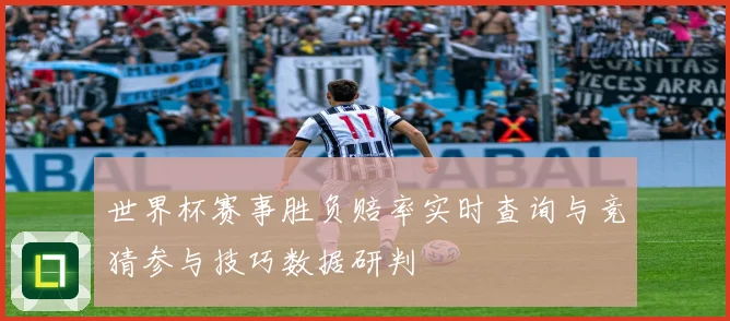 世界杯赛事胜负赔率实时查询与竞猜参与技巧数据研判