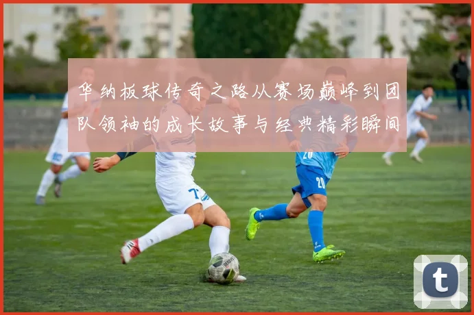 华纳板球传奇之路从赛场巅峰到团队领袖的成长故事与经典精彩瞬间回顾